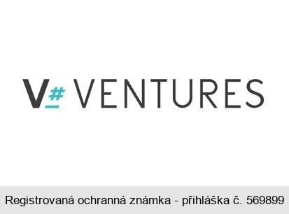 V VENTURES