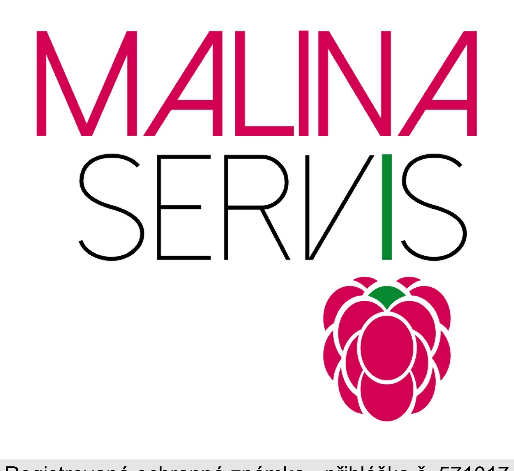 MALINA SERVIS