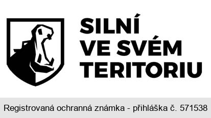 SILNÍ VE SVÉM TERITORIU