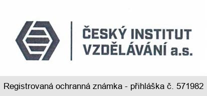 ČESKÝ INSTITUT VZDĚLÁVÁNÍ a.s.