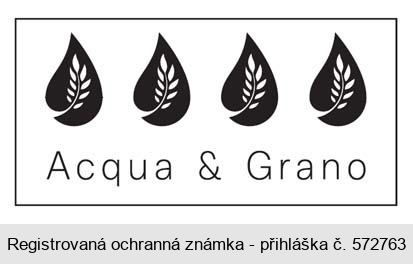 Acqua & Grano