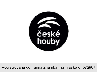 české houby