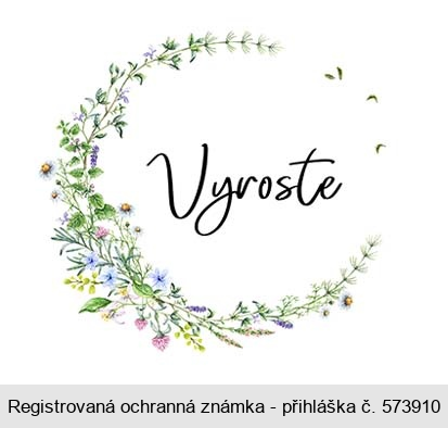 Vyroste