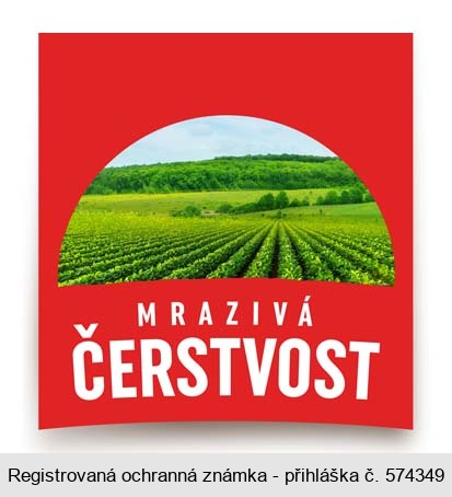 MRAZIVÁ ČERSTVOST