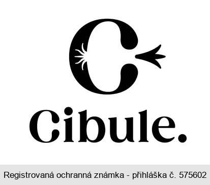 C cibule.