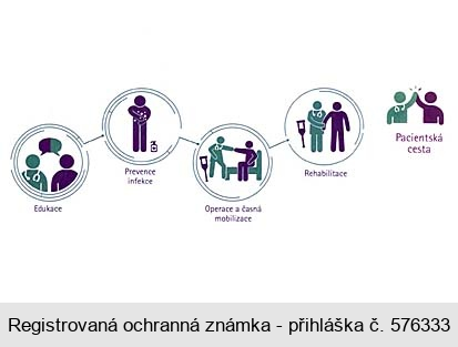 Edukace Prevence infekce Operace a časná mobilizace Rehabilitace Pacientská cesta