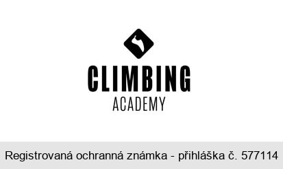 CLIMBING ACADEMY