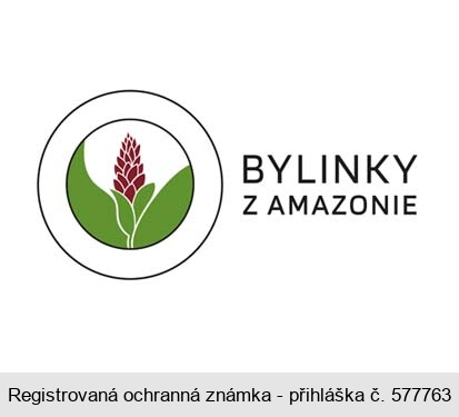 BYLINKY Z AMAZONIE