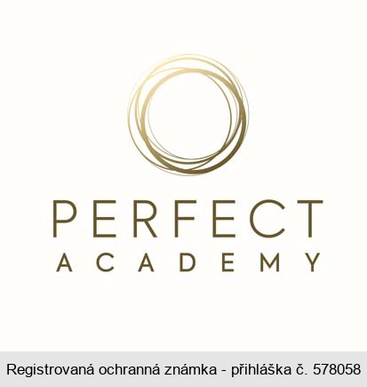 PERFECT ACADEMY