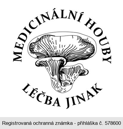 MEDICINÁLNÍ HOUBY LÉČBA JINAK