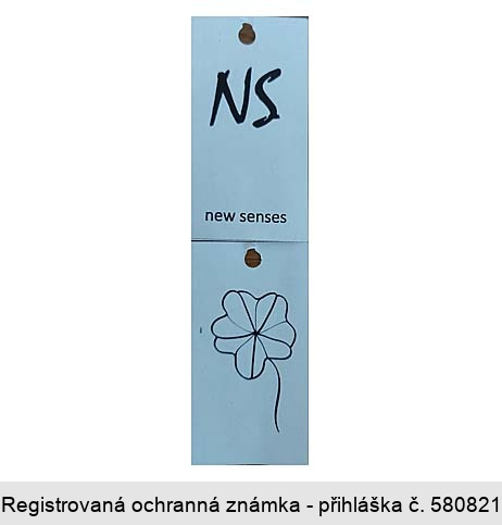  NS new senses