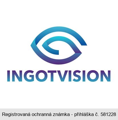 INGOTVISION