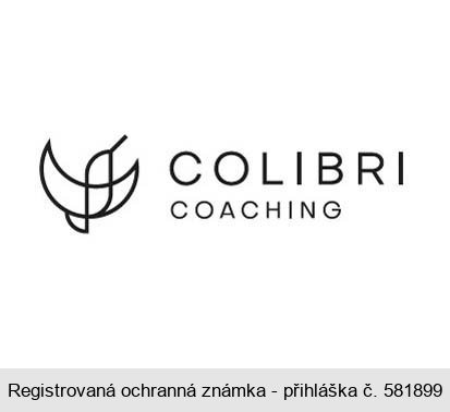 COLIBRI COACHING