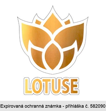 LOTUSE