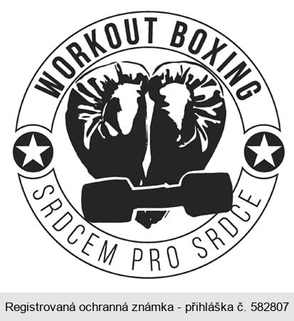 WORKOUT BOXING SRDCEM PRO SRDCE