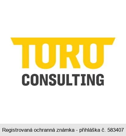 TORO CONSULTING