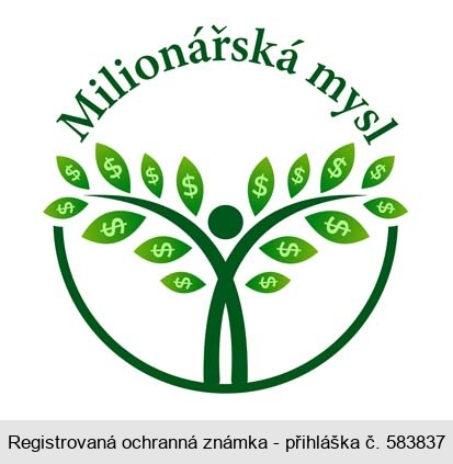 Milionářská mysl