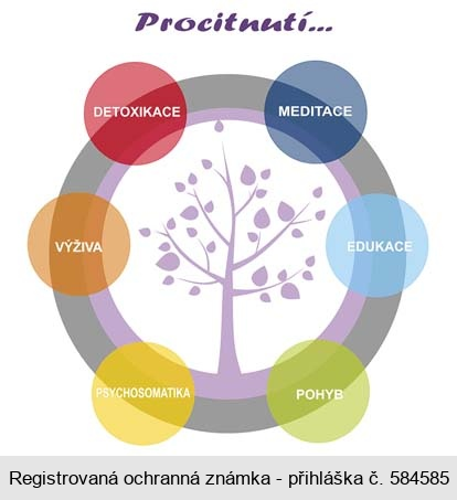 Procitnutí... DETOXIKACE MEDITACE VÝŽIVA EDUKACE PSYCHOSOMATIKA POHYB