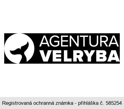 AGENTURA VELRYBA