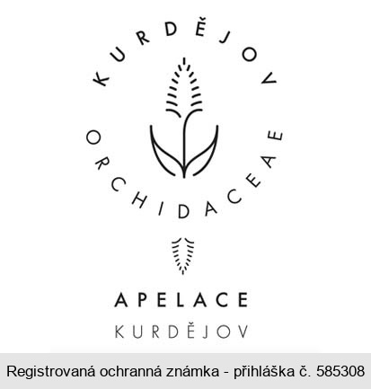 KURDĚJOV ORCHIDACEAE APELACE KURDĚJOV