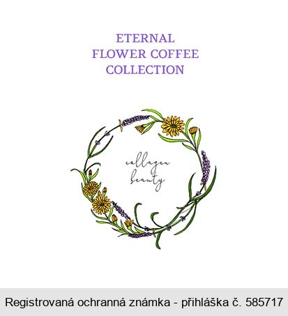 ETERNAL FLOWER COFFEE COLLECTION collagen beauty