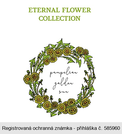 ETERNAL FLOWER COLLECTION pampelian golden sun