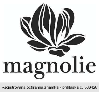 magnolie