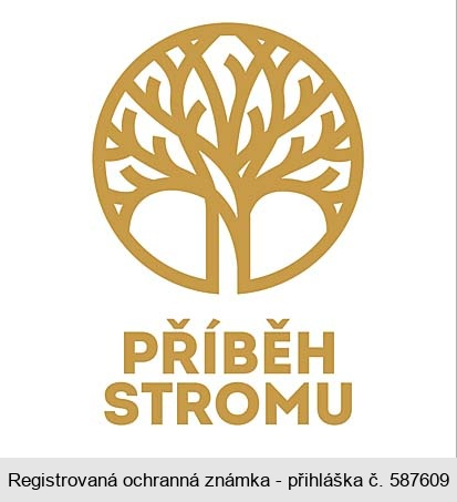 PŘÍBĚH STROMU