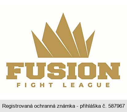 FUSION FIGHT LEAGUE