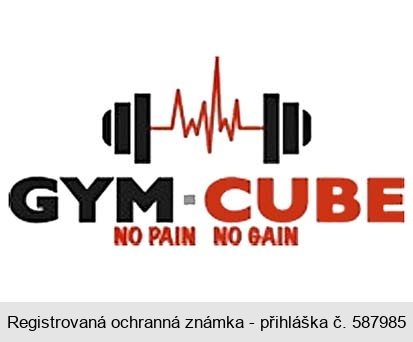 GYM CUBE NO PAIN NO GAIN