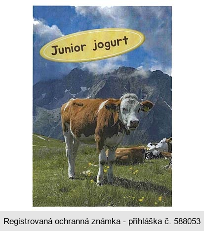 Junior jogurt