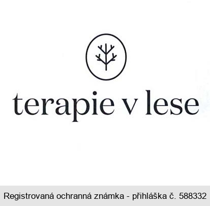 terapie v lese