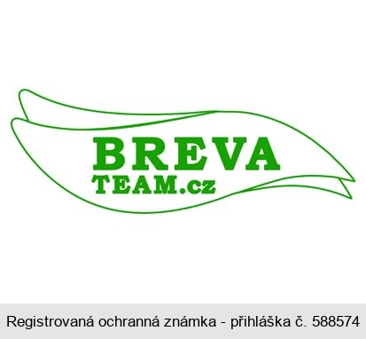 BREVA TEAM.cz