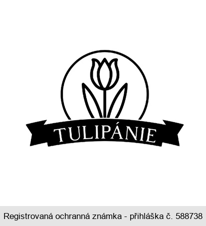 Tulipánie