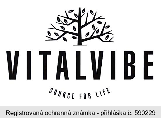 VITALVIBE SOURCE FOR LIFE