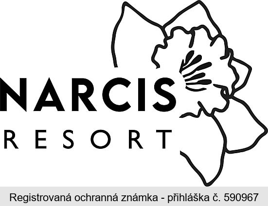 NARCIS RESORT