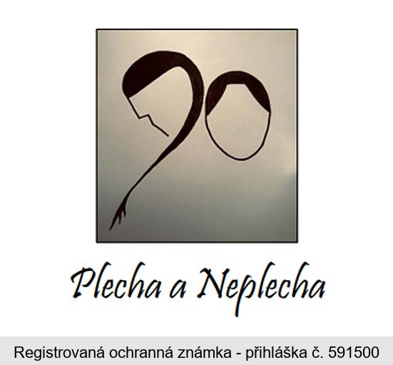Plecha a Neplecha
