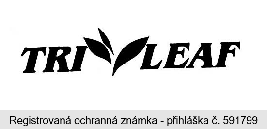 TRI LEAF