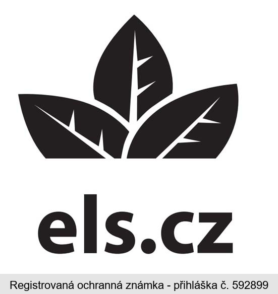 els.cz