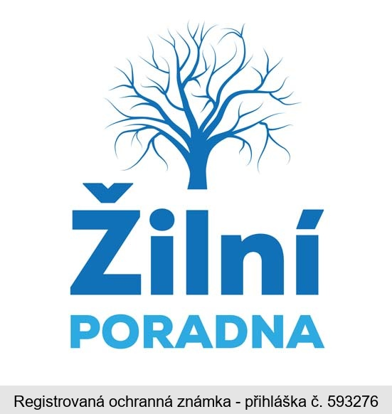 Žilní PORADNA