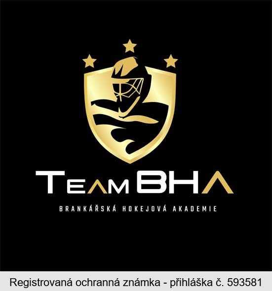 TEAM BHA BRANKÁŘSKÁ HOKEJOVÁ AKADEMIE