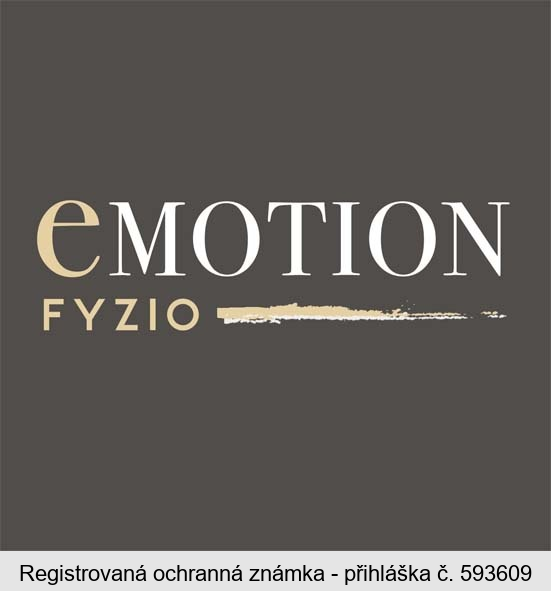 eMOTION FYZIO