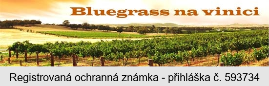 Bluegrass na vinici