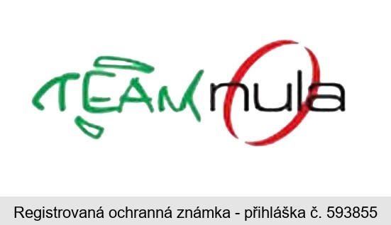 TEAM nula