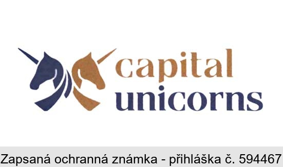 capital unicorns