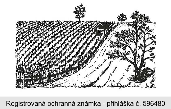 Ochranná známka
