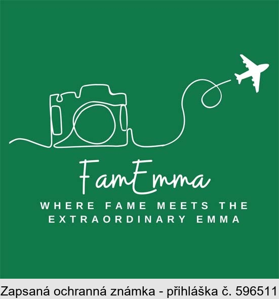 FamEmma WHERE FAME MEETS THE EXTRAORDINARY EMMA