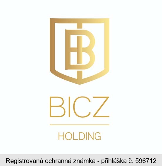 B BICZ HOLDING