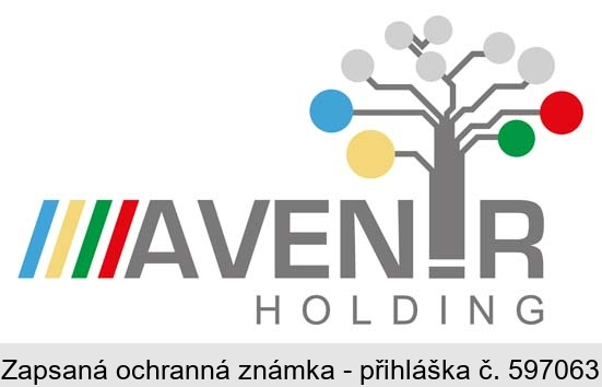 AVENIR HOLDING