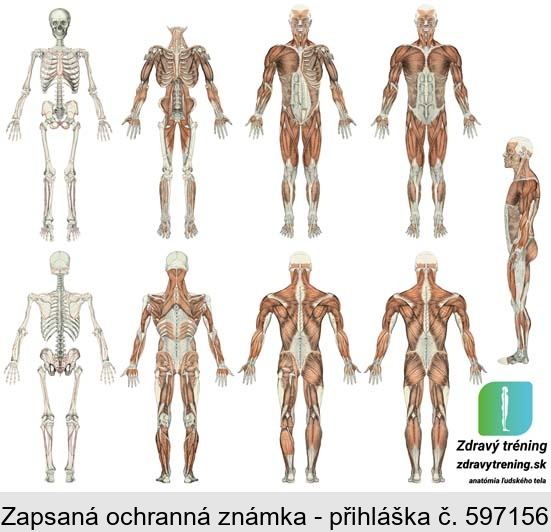 Zdravý tréning - zdravytrening.sk